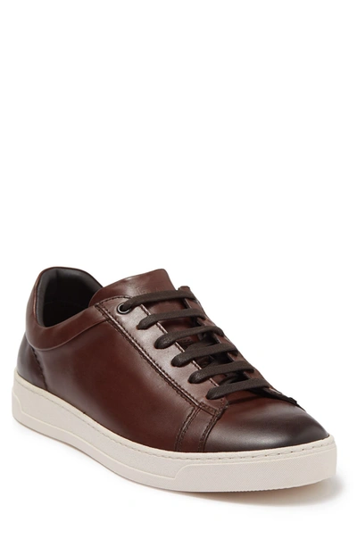 Shop Bruno Magli Diego Leather Sneaker In Rust