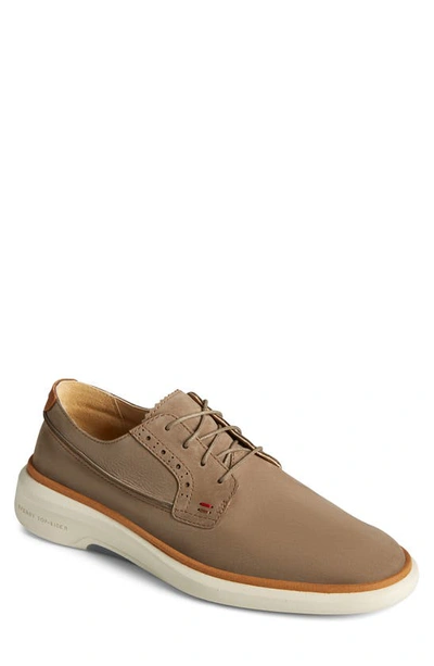 Shop Sperry Gold Cup Commodore Plushwave Derby In Taupe Nubuck