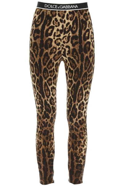 Shop Dolce & Gabbana Silk Leggings With Logo Elastic Band In Leo New (brown)