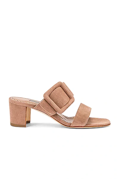 Manolo Blahnik Titubanew Sandal In Dark Nude