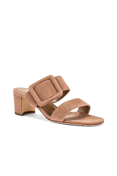 Shop Manolo Blahnik Titubanew Sandal In Dark Nude