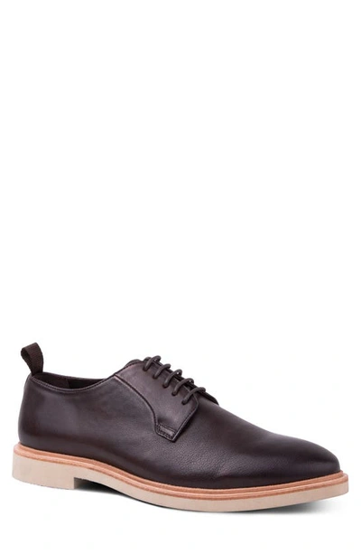 Shop Gordon Rush Cooper Derby In Chocolate