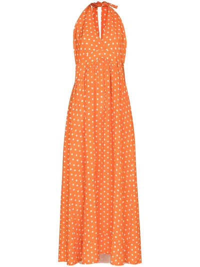 Shop Adriana Degreas Polka Dot Halterneck Dress In Orange