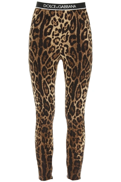 Shop Dolce & Gabbana Silk Leggings With Logo Elastic Band In Brown,black,white