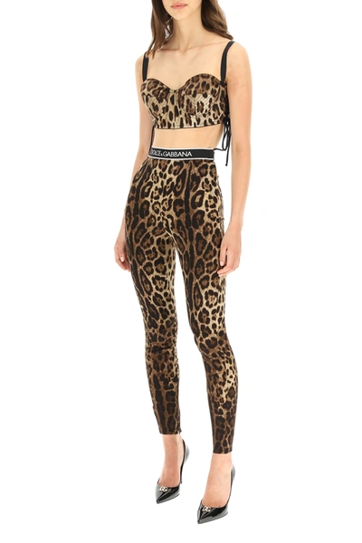 Shop Dolce & Gabbana Silk Leggings With Logo Elastic Band In Brown,black,white