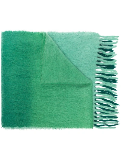 Shop Isabel Marant Gradient Fringed Scarf In Green
