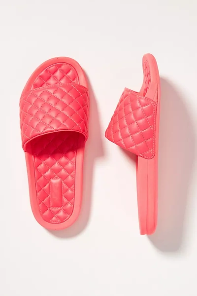 Shop Apl Athletic Propulsion Labs Apl Lusso Slide Sandals In Pink