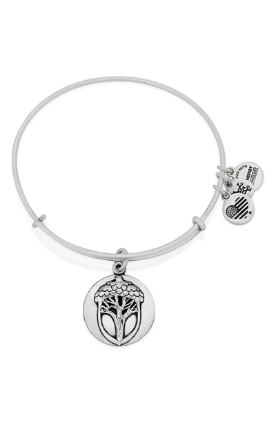 Shop Alex And Ani 'unexpected Miracles Ii' Expandable Charm Bracelet In Silver