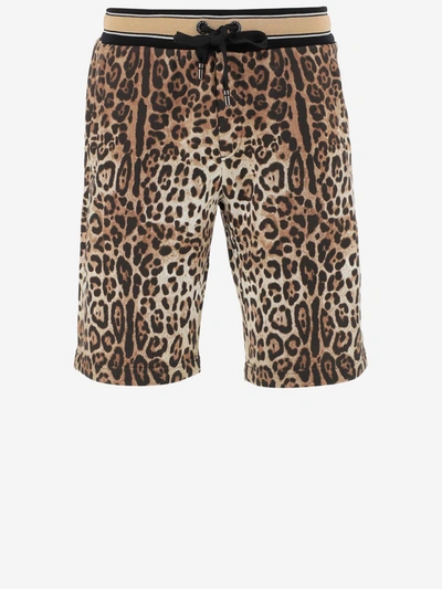 Shop Dolce & Gabbana Shorts In Leo