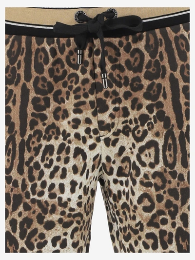 Shop Dolce & Gabbana Shorts In Leo