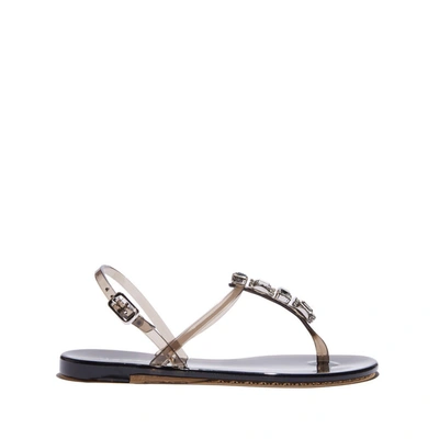 Casadei Jelly Sandals In Nero