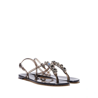 Casadei Jelly Sandals In Nero