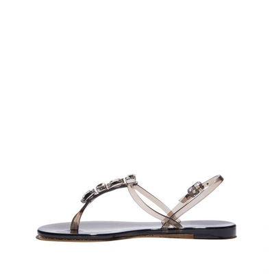 Casadei Jelly Sandals In Nero