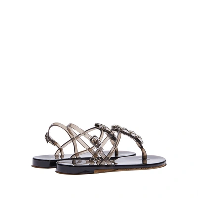 Casadei Jelly Sandals In Nero