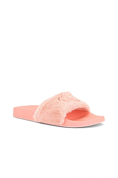 Shop Versace Medusa Slides In Pale Pink