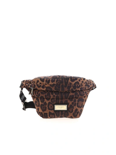 Shop Dolce & Gabbana Sicily Animal Print Pouch Pocket In Brown