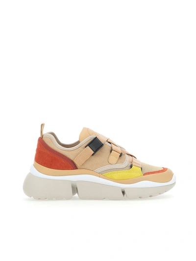 Shop Chloé Sneakers In Maple Pink