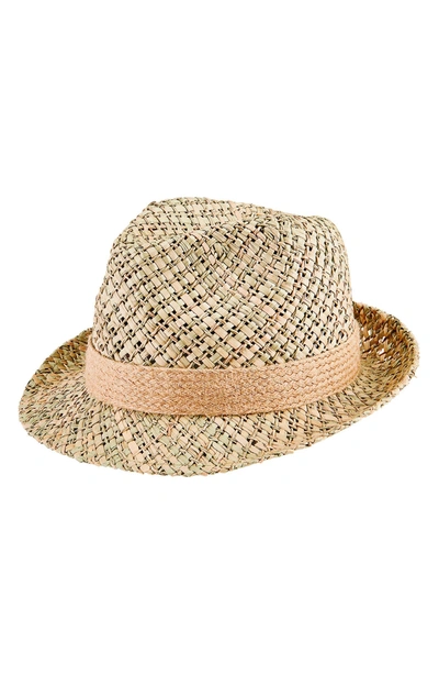 Shop San Diego Hat Seagrass Fedora In Natural