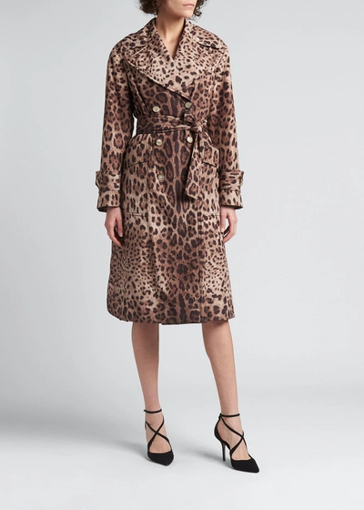 Shop Dolce & Gabbana Leopard-print Belted Trench Coat In Leobrowprt
