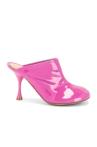 Bottega Veneta Dot Sock Mules In Lipgloss