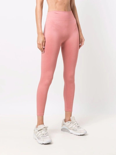 Shop Victoria Beckham Reebok X  Trousers Pink