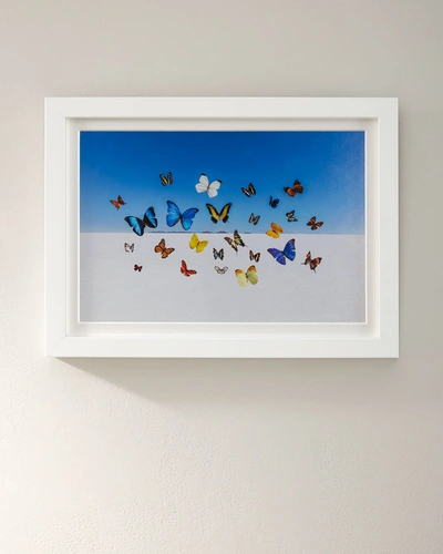 Shop Gray Malin Butterflies" Mini Giclee Print"