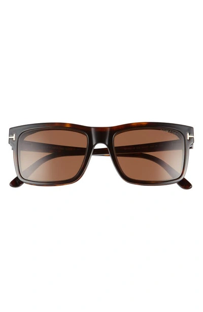Shop Tom Ford 54mm Blue Light Blocking Glasses & Clip-on Sunglasses In Dark Havana/ Clear/ Roviex
