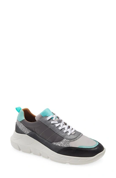 Shop Ted Baker Enriul Sneaker In Grey