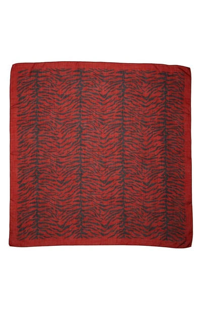 Shop Saint Laurent Zebra Print Cashmere & Silk Scarf In Rouge/ Noir