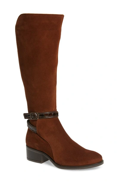 Shop Bos. & Co. Jade Waterproof Knee High Boot In Nut Suede