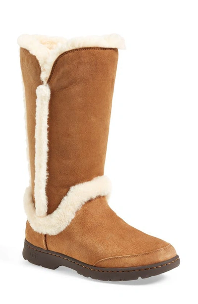 Shop Ugg Katia Waterproof Tall Boot In Chestnut Suede