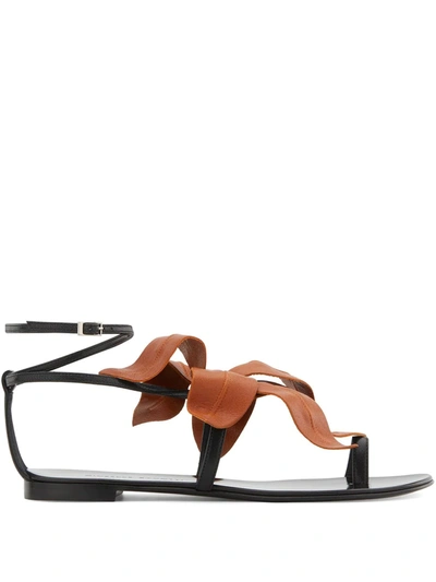 Shop Giuseppe Zanotti Lilium Flat Sandals In Braun