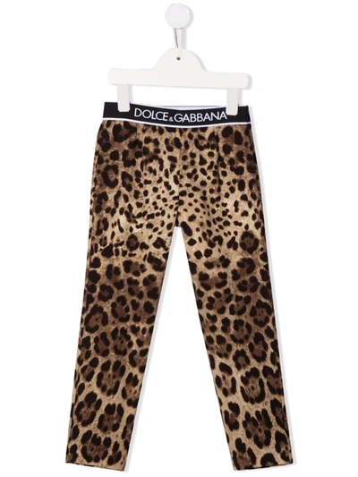 Shop Dolce & Gabbana Leopard-print Logo Trousers In Brown