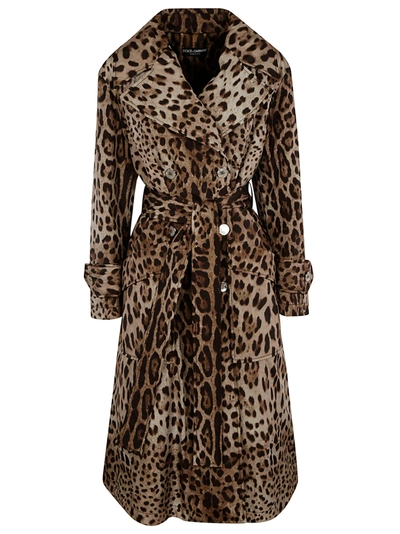 Shop Dolce & Gabbana Tie-waist Double-breasted Flared Trench In Leopard