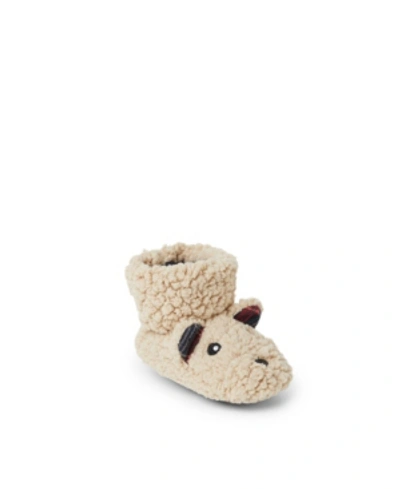 Shop Dearfoams Baby Boys And Girls Harley Baby Bear Bundle Slipper In Cream