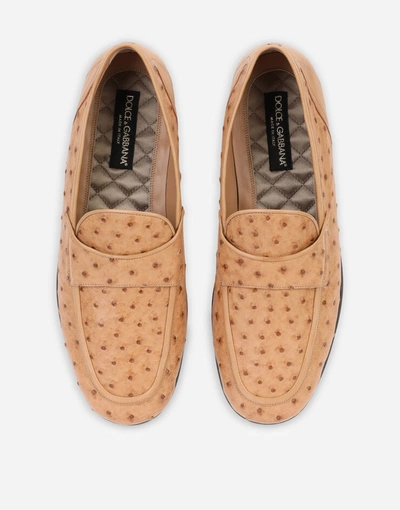 Dolce & Gabbana Ostrich Skin Slippers In Beige