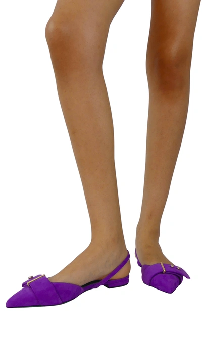 Shop Sara Battaglia Electra Flat Shoes In Violet