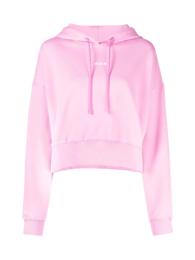 Shop Msgm Hoodie Sweatshirt In Pink