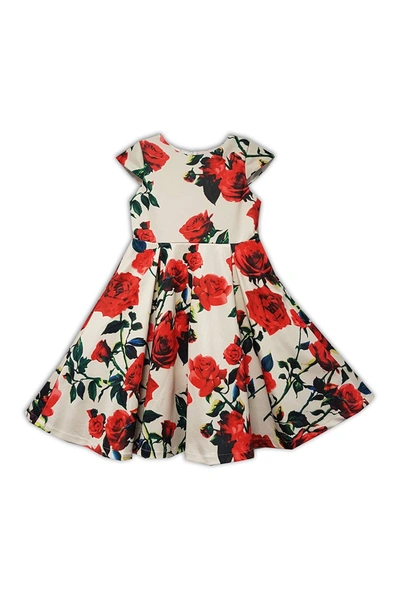 Shop Joe-ella Scuba Floral Fit And Flare Dress In Red