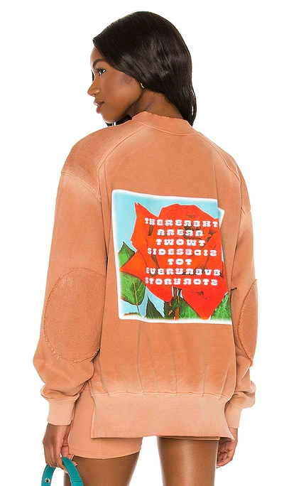 Boys Lie From This Perspective Crewneck In Brown