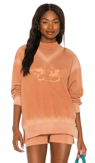 Boys Lie From This Perspective Crewneck In Brown