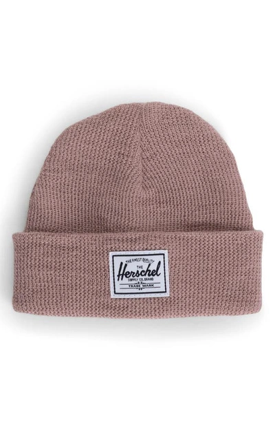 Shop Herschel Supply Co Sprout Knit Beanie In Ash Rose