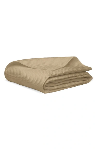 Shop Matouk Alba Quilt In Champagne