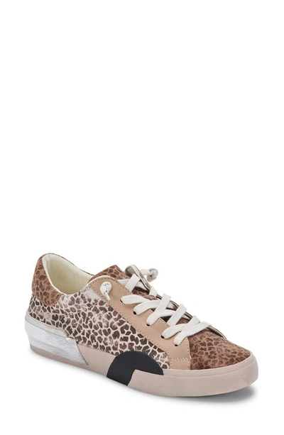Shop Dolce Vita Zina Sneaker In Leopard Multi Dusted Suede
