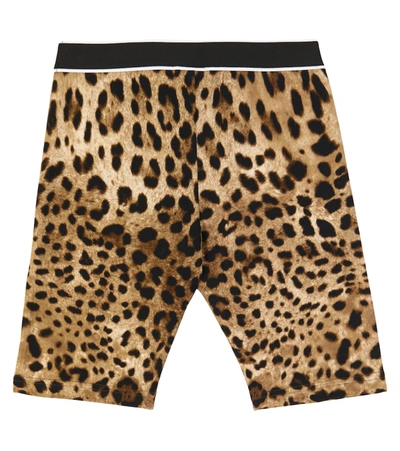 Shop Dolce & Gabbana Leopard-print Stretch-cotton Shorts In Brown