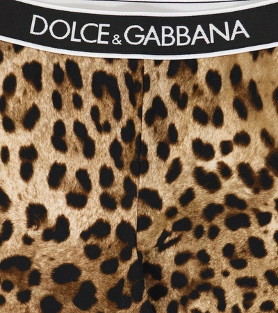 Shop Dolce & Gabbana Leopard-print Stretch-cotton Shorts In Brown