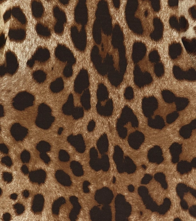 Shop Dolce & Gabbana Baby Leopard-print Cotton Bodysuit In Brown