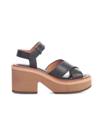 Shop Clergerie Ankle Strap Chunky Sandals In Black