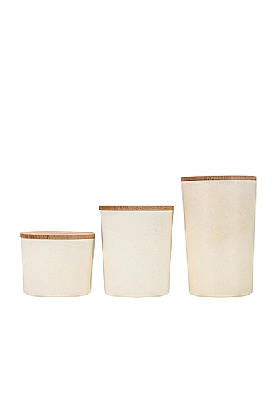 Shop Hawkins New York Essential Set Of 3 Lidded Containers In Ivory