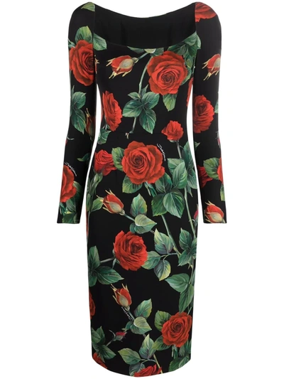 Shop Dolce & Gabbana Scoop-neck Rose-print Dress In Black